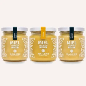 Pack de miel: 1 Ulmo y 2 Bosque Nativo, 300gr
