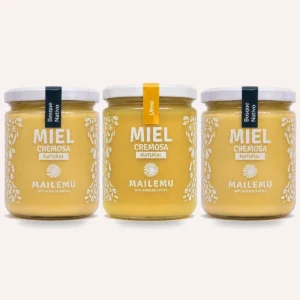 Pack de miel: 1 Ulmo y 2 Bosque Nativo, 550gr