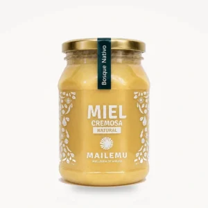 Miel multifloral de Bosque Nativo 1kg