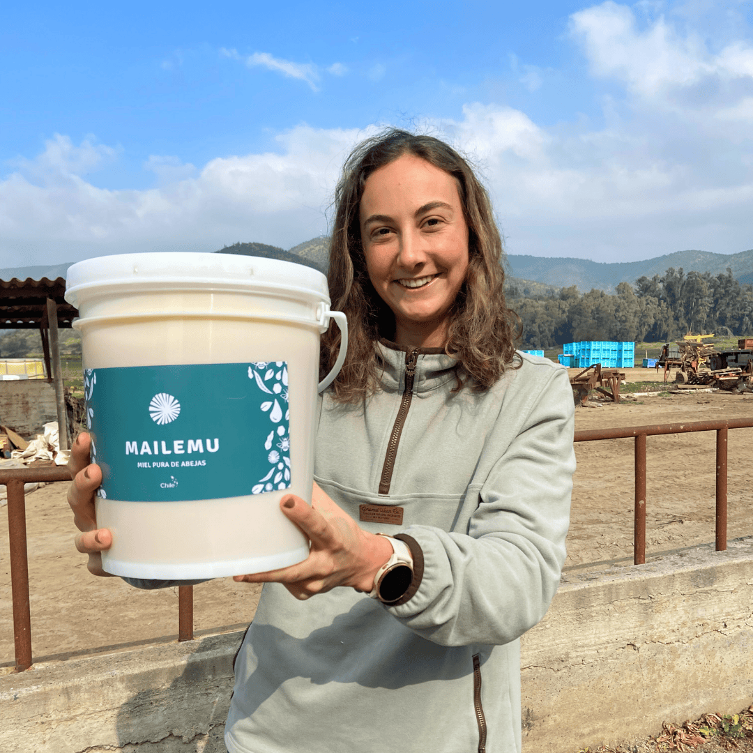 Balde de Miel de Quillay 5,6kg - Imagen 4