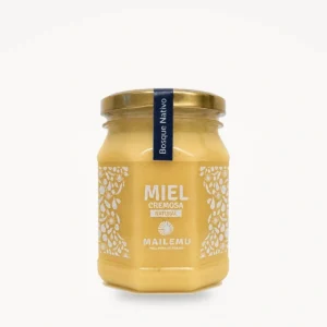 Miel multifloral de Bosque Nativo 500gr