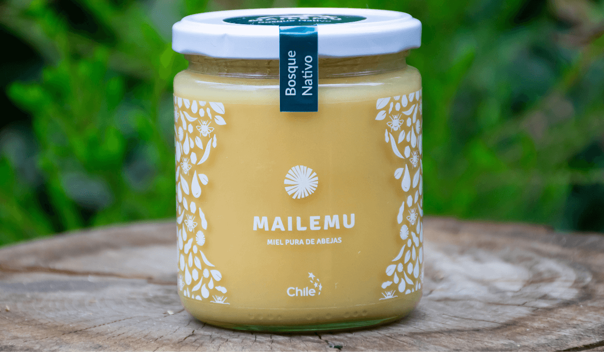 Frasco de miel de Bosque Nativo de vidrio Mailemu, formato 550 gramos