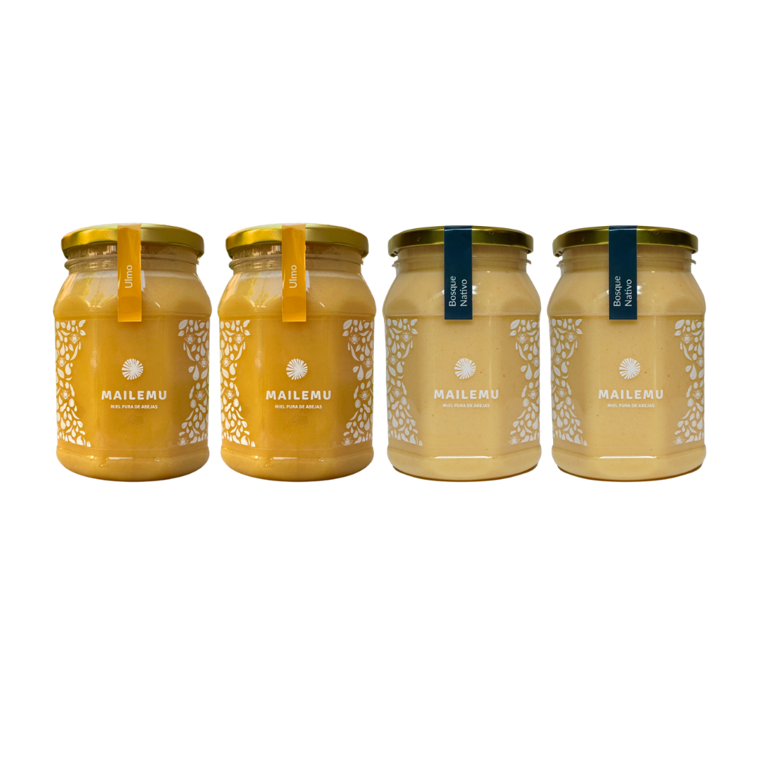 pack miel 2 Ulmo y 2 Bosque Nativo 1 kg Mailemu