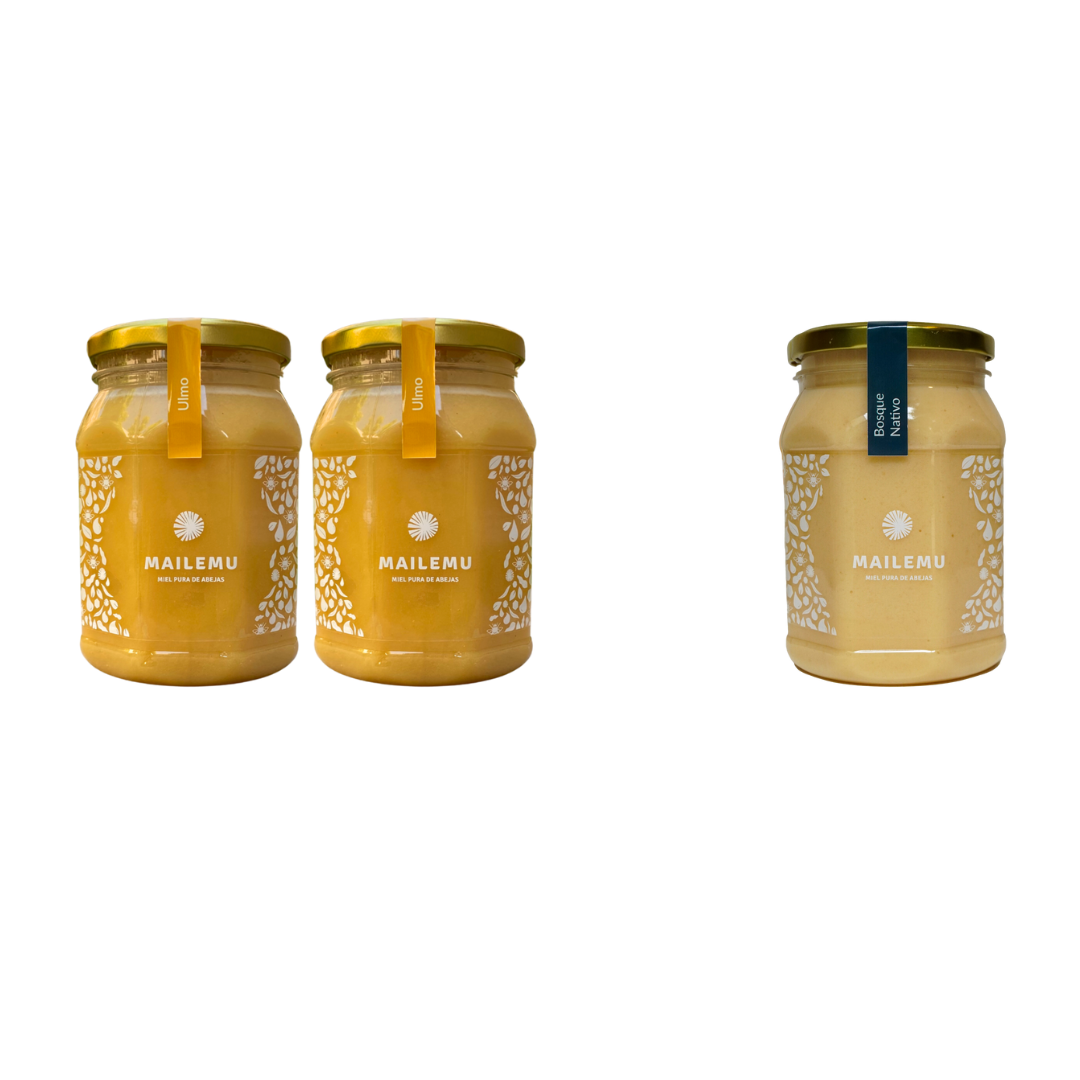 Pack de miel 2 Ulmo, 1 Bosque Nativo, frascos de 1kg.