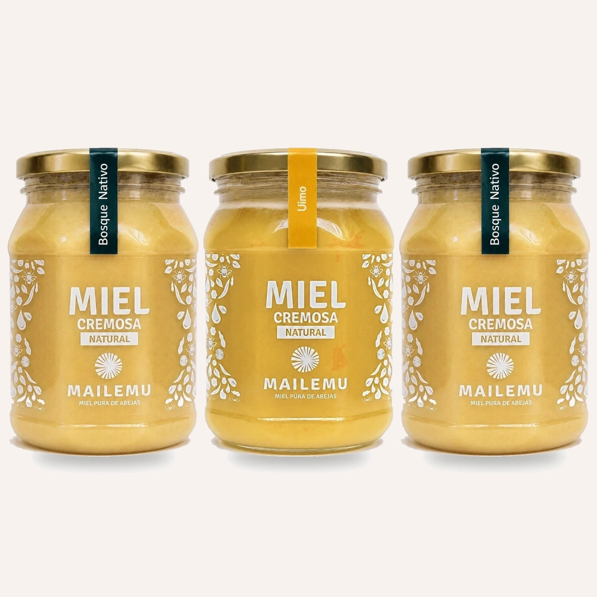 Pack 2 Miel de Bosque Nativo y 1 Miel de Ulmo 1kg Mailemu