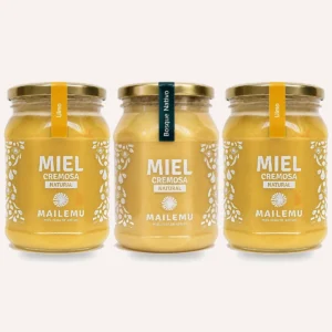 Pack de miel: 2 Ulmo y 1 Bosque Nativo, 1kg