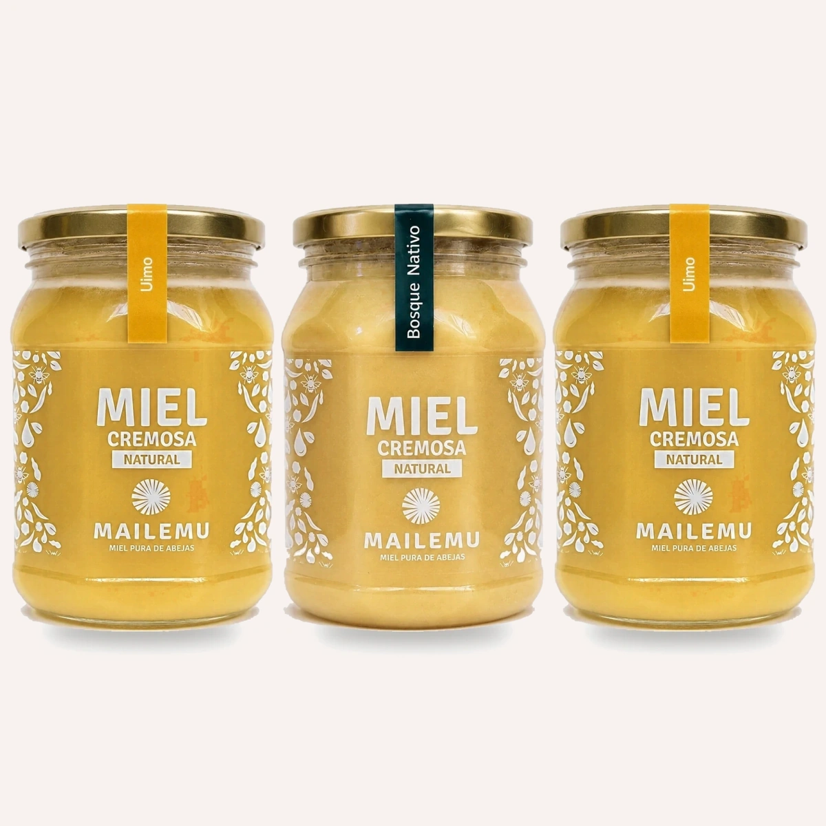Pack 2 Miel de Ulmo y 1 Miel de Bosque Nativo Multifloral 1kg Mailemu