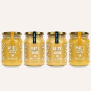 Pack de miel: 2 Ulmo y 2 Bosque Nativo, 1kg