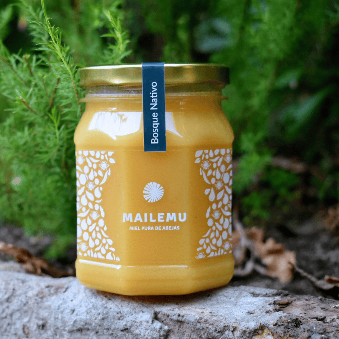 Frasco PET de miel de Bosque Nativo Mailemu