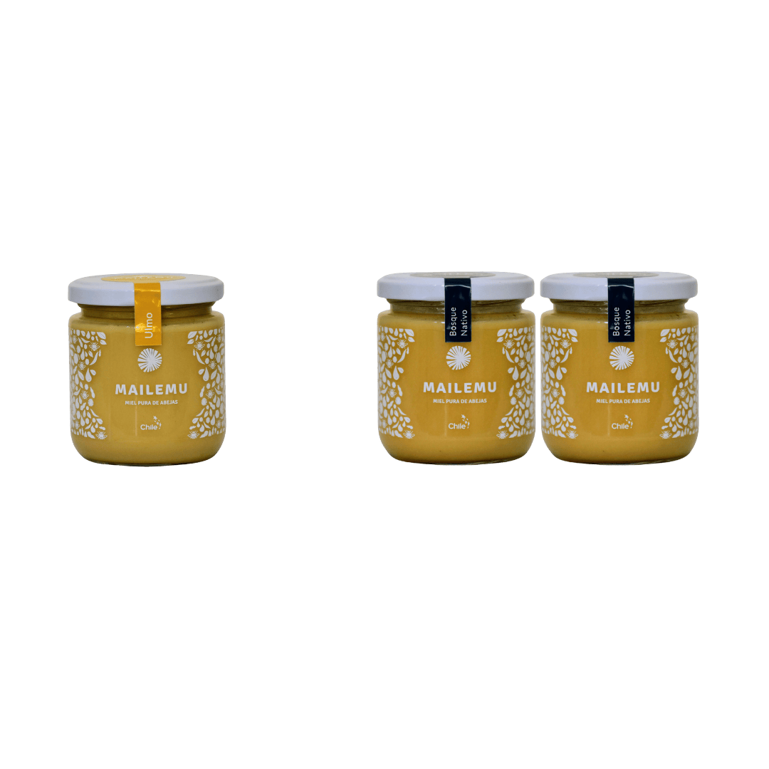 Pack de miel: 1 Ulmo y 2 Bosque Nativo, 300gr