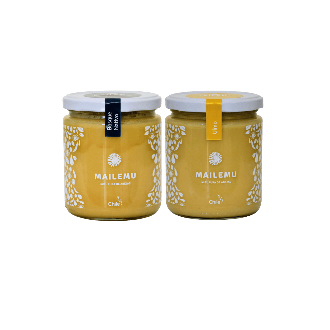 Pack de miel medio kilo Mailemu Ulmo y Bosque Nativo