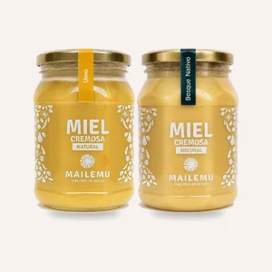 Pack de Miel: 1 Ulmo y 1 Bosque Nativo, 1kg