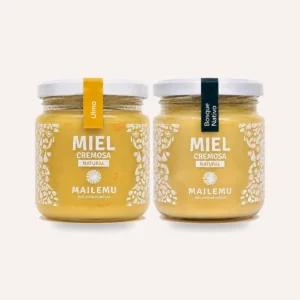 Pack de Miel: 1 Ulmo y 1 Bosque Nativo, 300gr