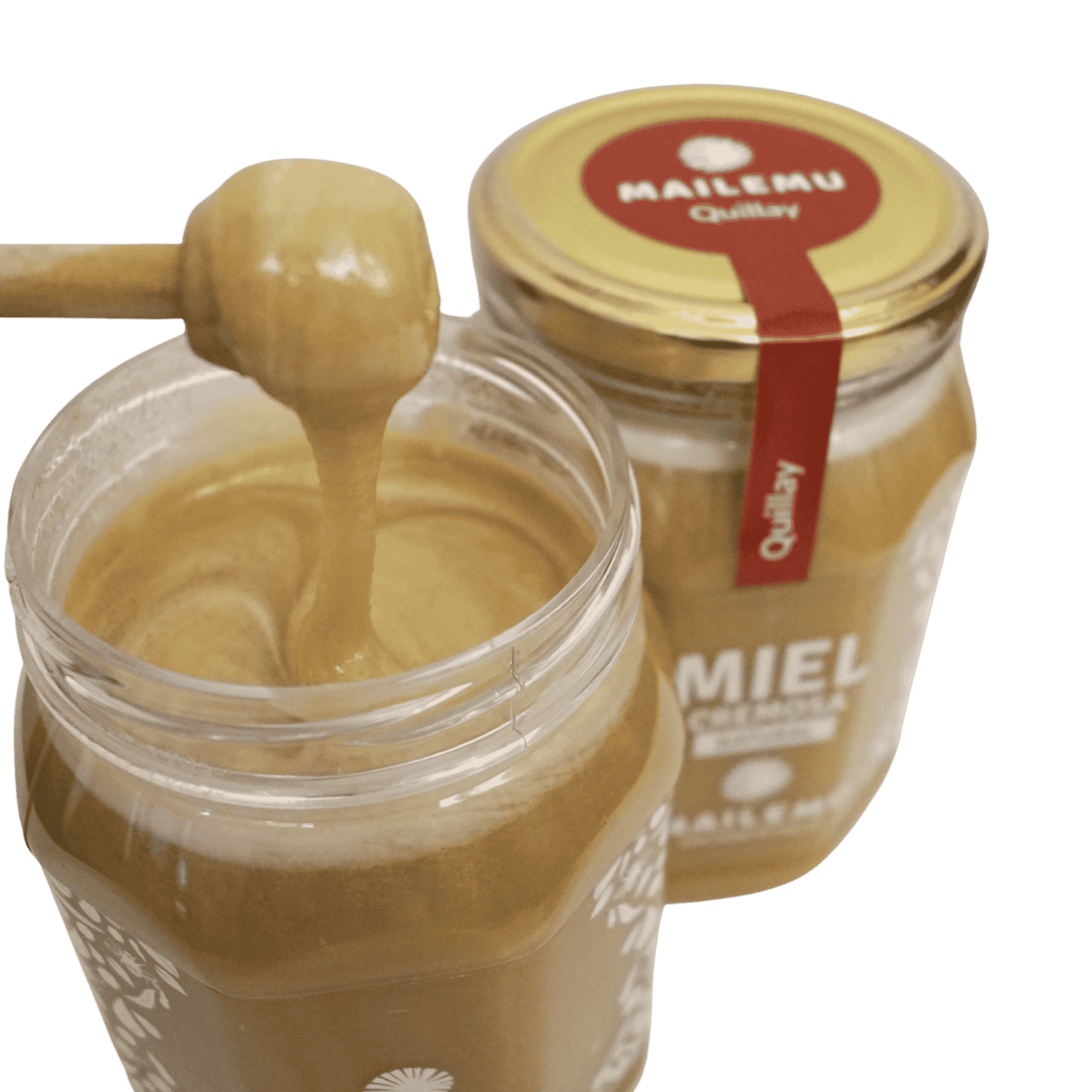 Miel de Quillay 1kg - Imagen 2