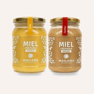 Pack de Miel: 1 Ulmo y 1 Quillay, 1kg