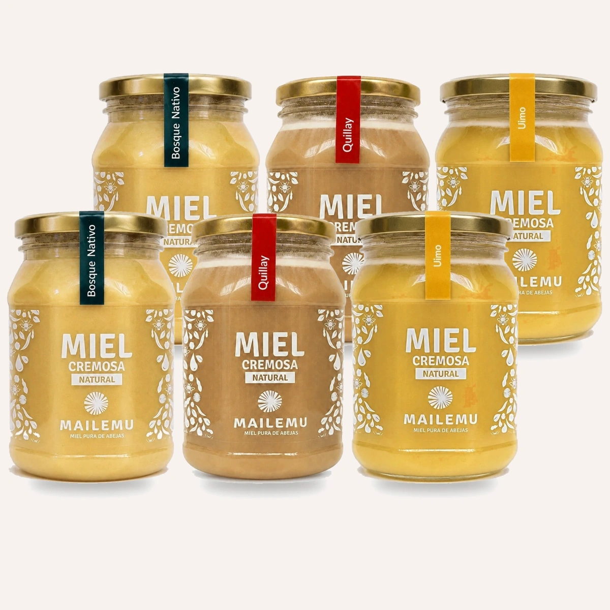 Pack variedades de miel 1kg Mailemu