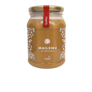 Miel de quillay de la zona central de Chile 1kg