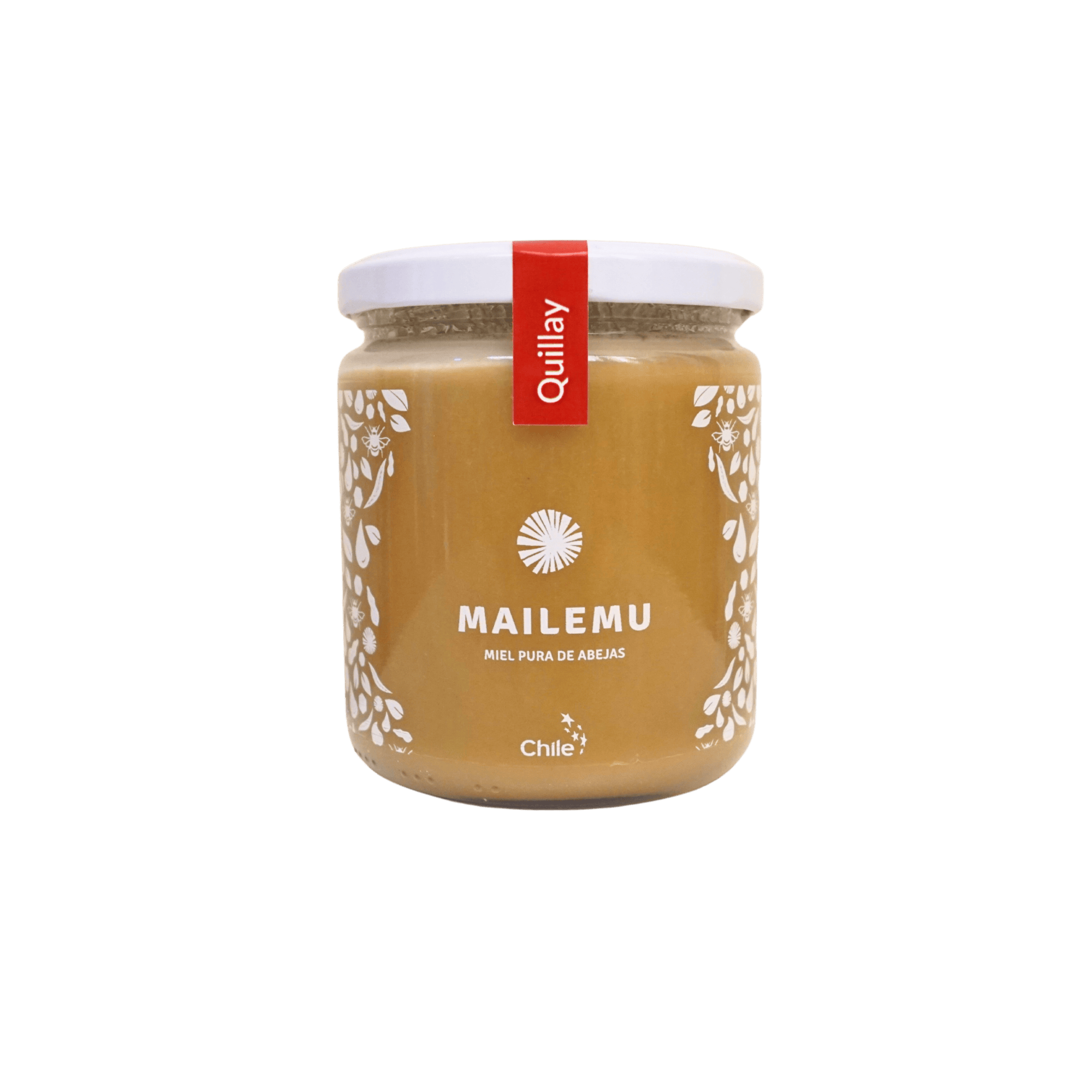 Pack Miel Variedades: 1 Ulmo, 1 Bosque Nativo y 1 Quillay, 550gr - Imagen 4
