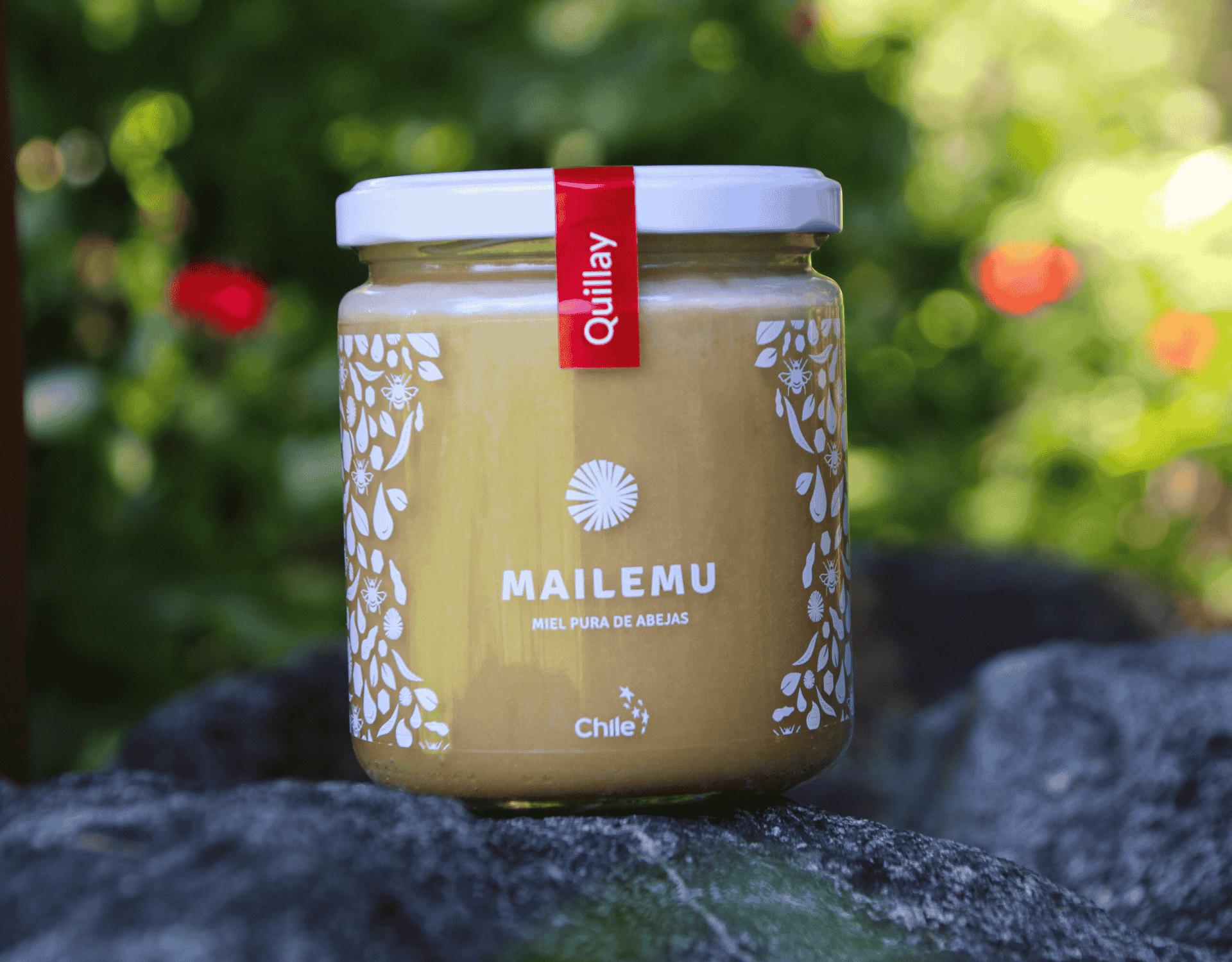 Miel de Quillay 550gr - Imagen 3