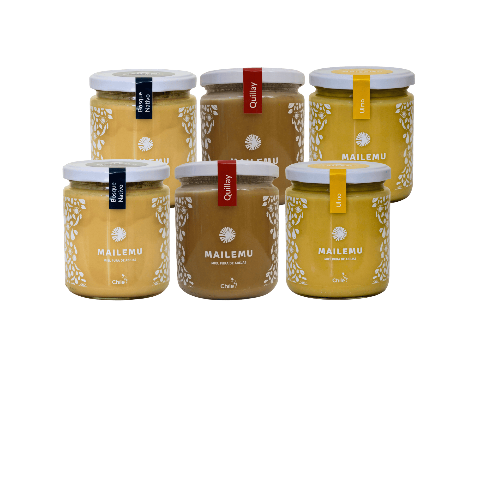 Variedades de miel pura de abejas: Ulmo, Bosque Nativo y Quillay