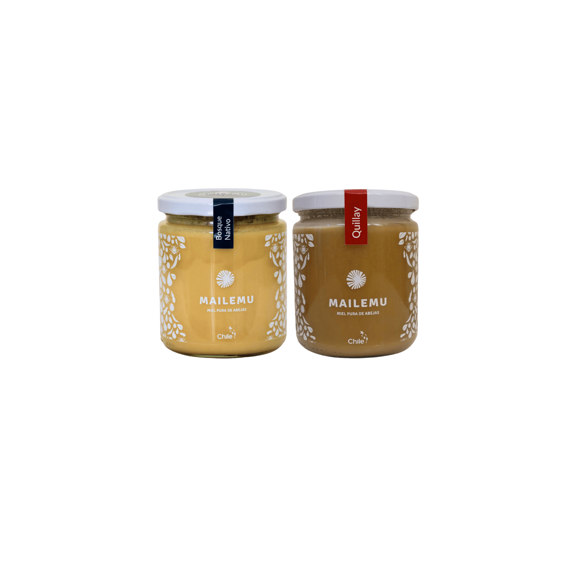 Pack de mieles de Quillay y Bosque Nativo pura de abejas