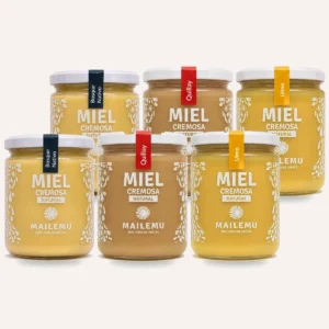 Pack Variedades de Miel: 2 Ulmo, 2 Bosque Nativo, 2 Quillay 550gr