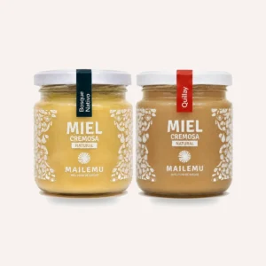Pack de Miel: 1 Bosque Nativo y 1 Quillay, 300gr