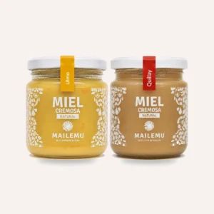 Pack de Miel: 1 Ulmo y 1 Quillay, 300gr
