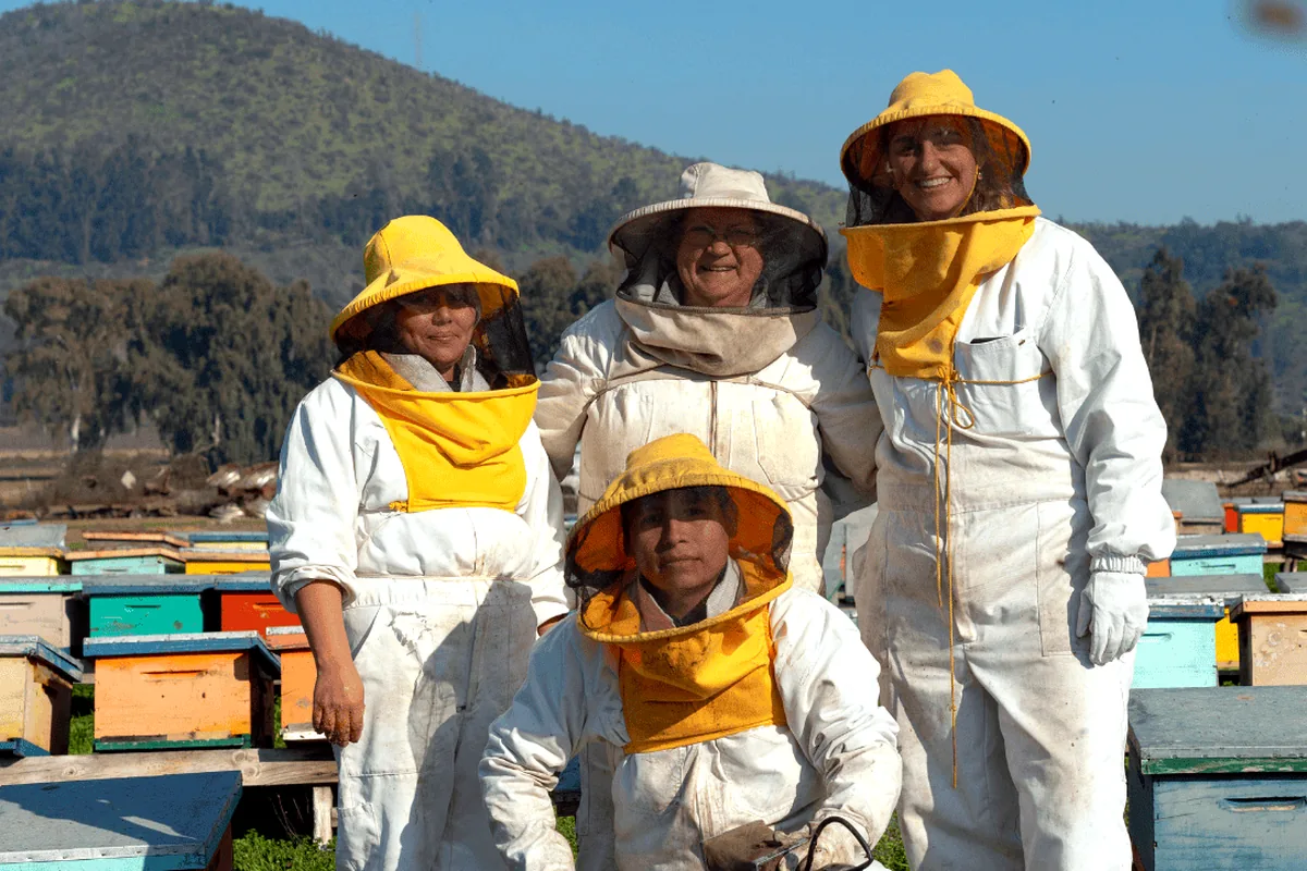 Equipo Mailemu