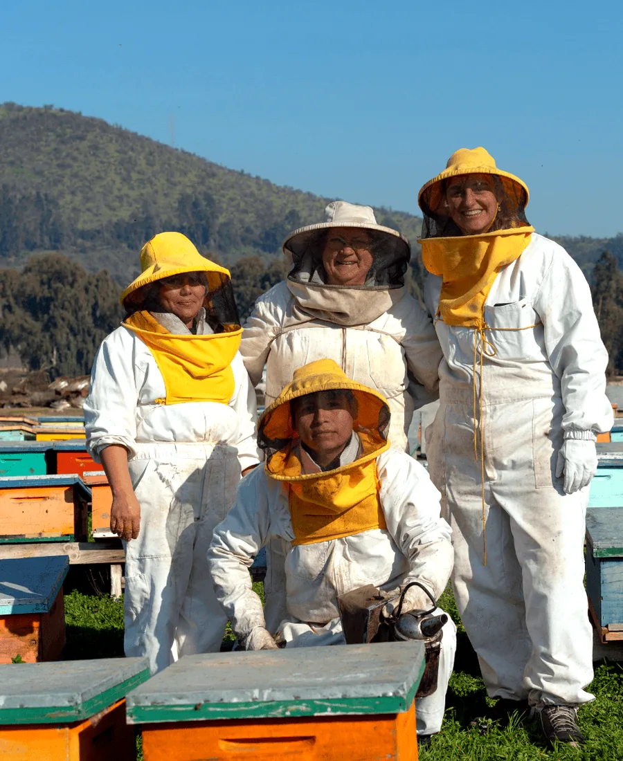 Equipo Mailemu en apiario chileno